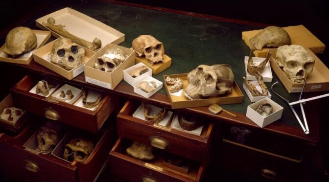 Ilmuwan Kumpulkan 1.217 Sampel DNA demi Mencari Manusia Pertama di Dunia