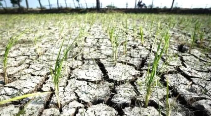 8 Daerah Tak Mengalami Hujan Lebih dari 2 Bulan, Ini Daftarnya