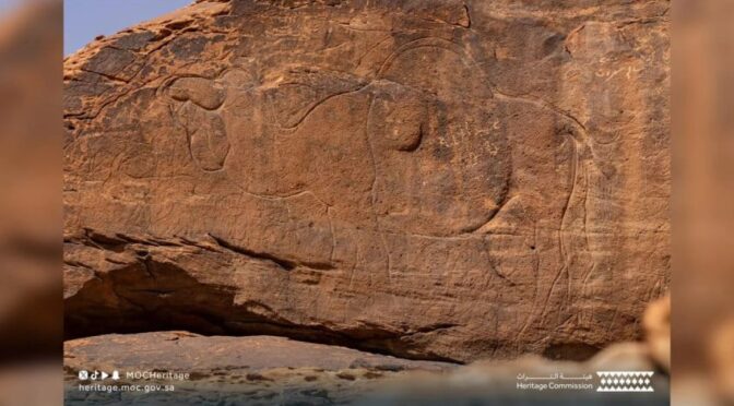 Ukiran Purba Berusia 12.000 Tahun Ditemukan di Al-Nafud Arab Saudi