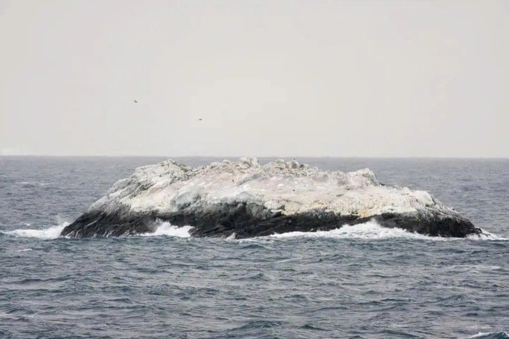 Pulau Misterius Ditemukan di Zona Berbahaya Antartika